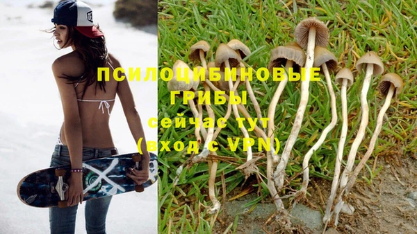 не бодяженный Алзамай