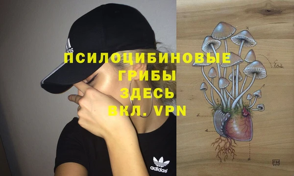 стафф Покровск